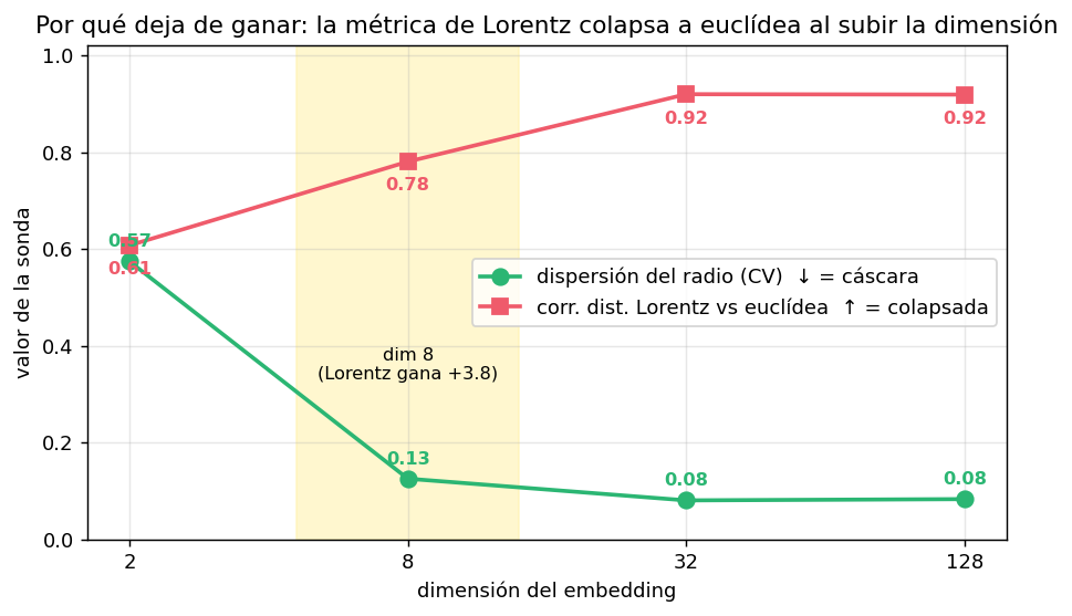 diagnóstico colapso